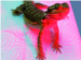 Bartagame